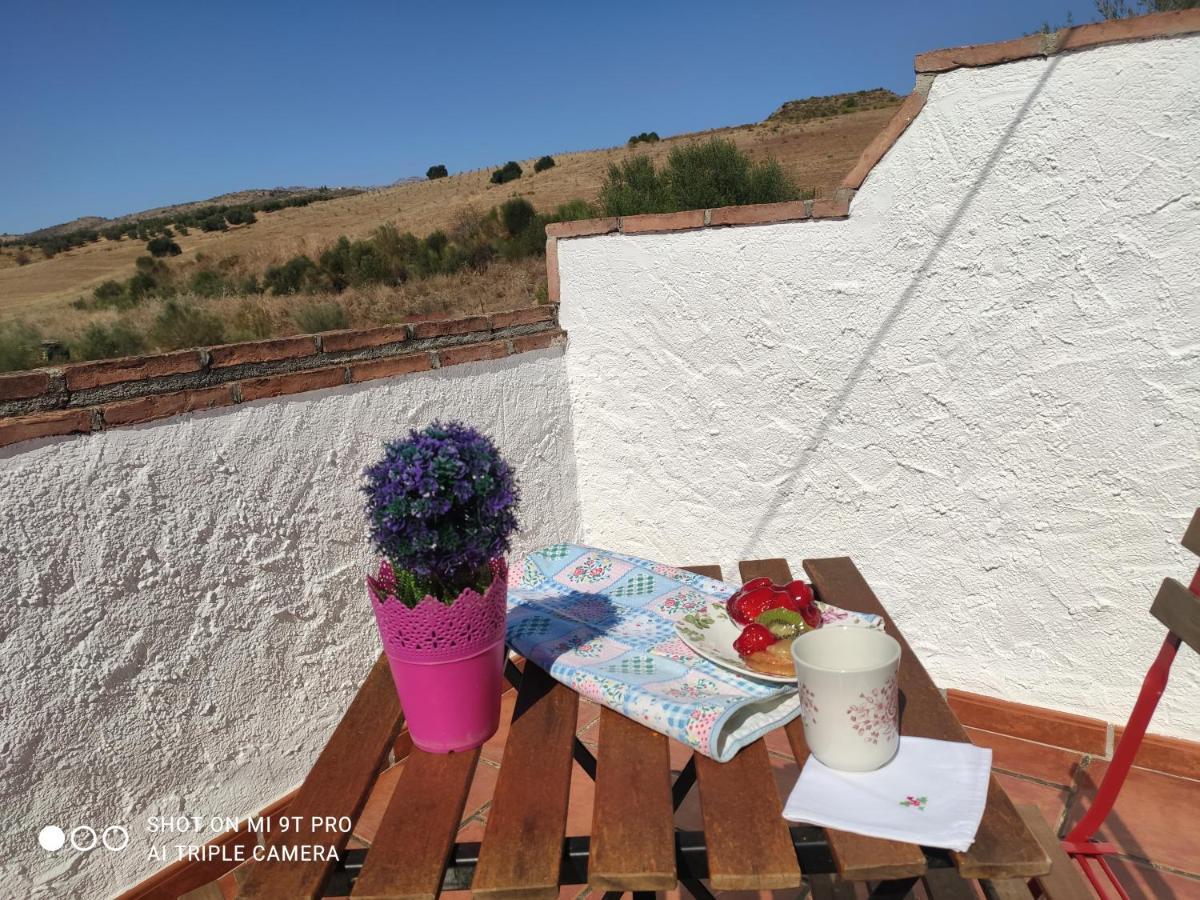 El Lagar De Pepe Bed & Breakfast Casabermeja Dış mekan fotoğraf