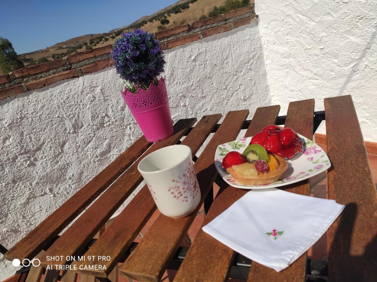 El Lagar De Pepe Bed & Breakfast Casabermeja Dış mekan fotoğraf
