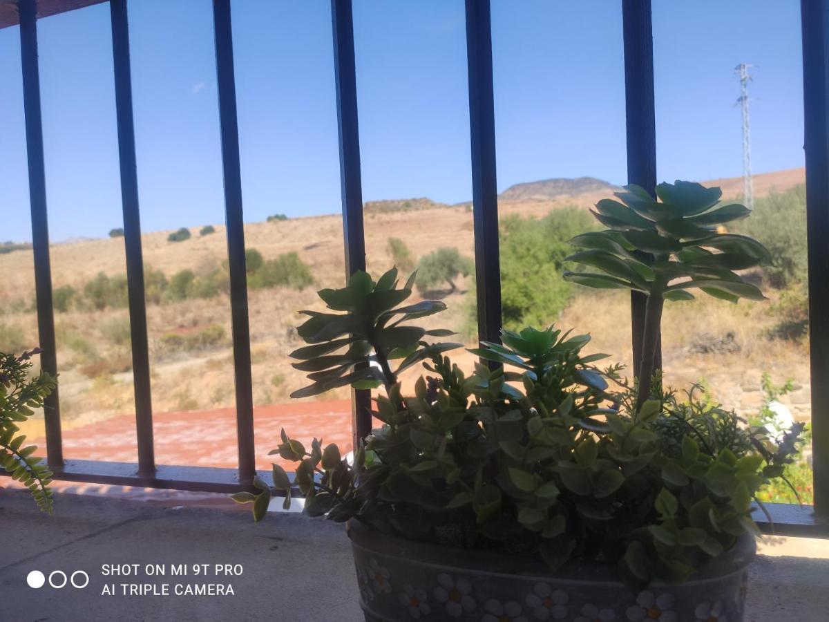 El Lagar De Pepe Bed & Breakfast Casabermeja Dış mekan fotoğraf